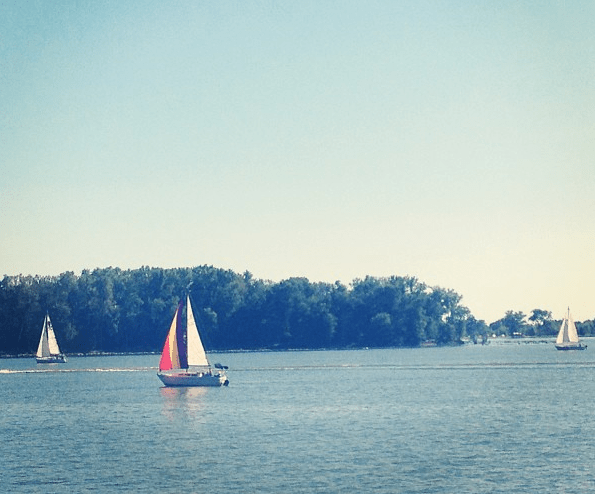 Self-Employment and $5,382 in Extra Income Self-Employment and $5,382 in Extra Income