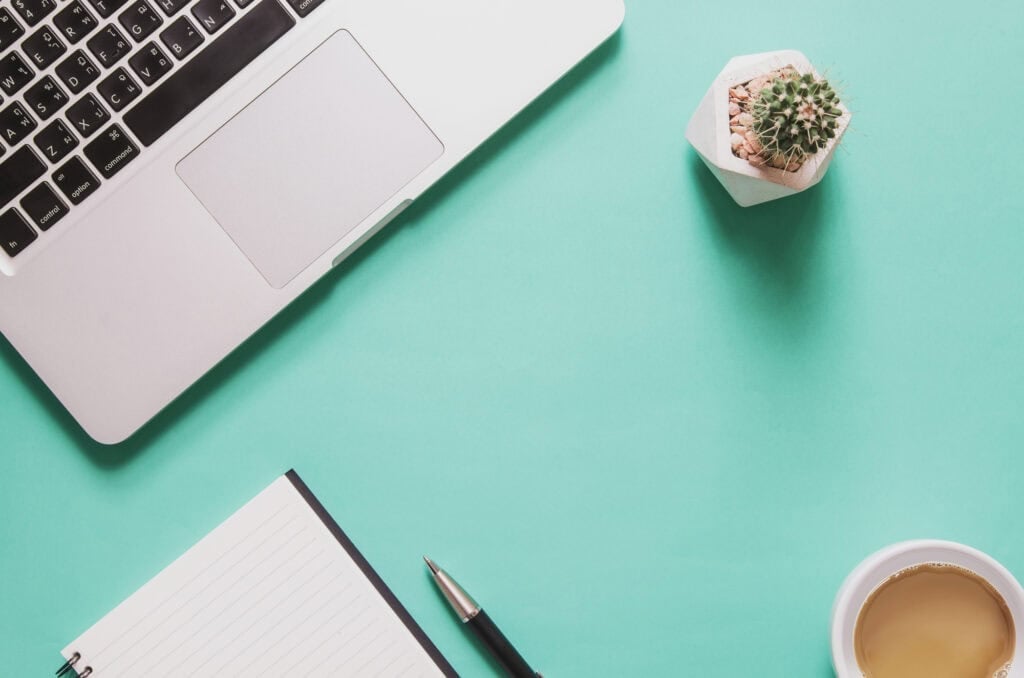 laptop and cactus on a blue desk. How to Start a Facebook Ads Business with No Experience